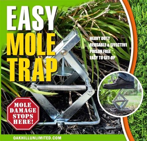 NEW EASY MOLE TRAP ELIMINATOR TRAPS EASY SET DESIGN OPEN BOX | eBay