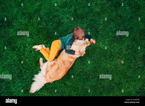 Side view on grass hi-res stock photography and images - Alamy
