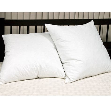 Euro Square Feather Pillow - Set of 2 - Walmart.com