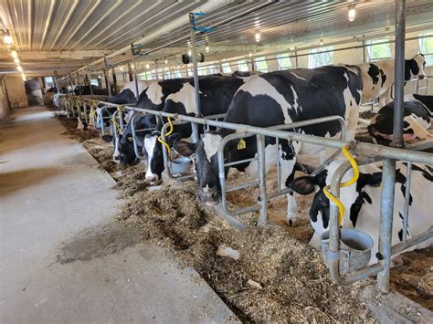 What dairies need to know about changing markets - Farm and Dairy