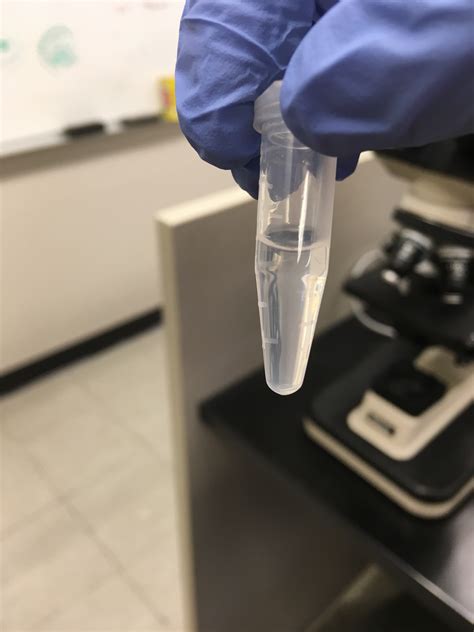 Supernatant Trizol LS RNA Extraction attempt