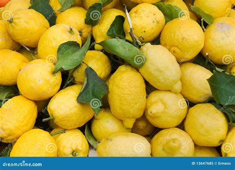 Organic Lemons Royalty Free Stock Photo - Image: 13647685