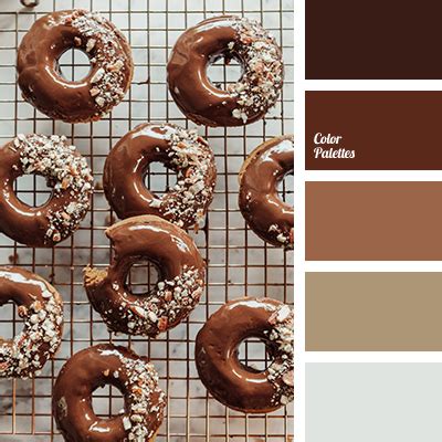 chocolate color | Color Palette Ideas