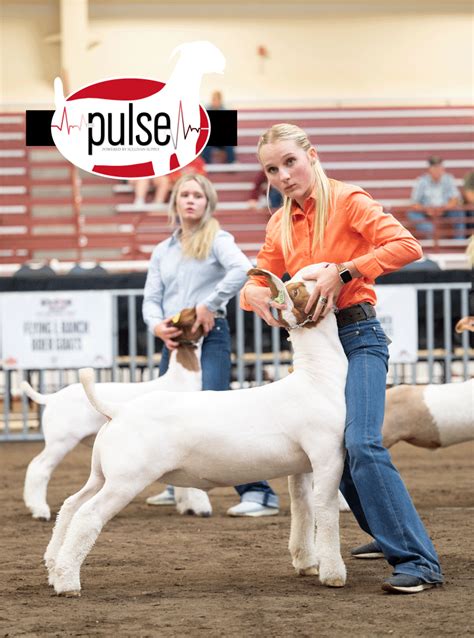 National Junior Boer Goat Show 2022 | Market Goat Show – Heavyweight Division | The Pulse