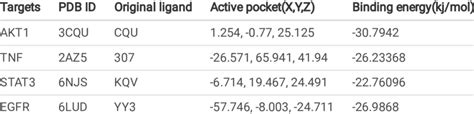 Molecular docking model information and docking results | Download ...