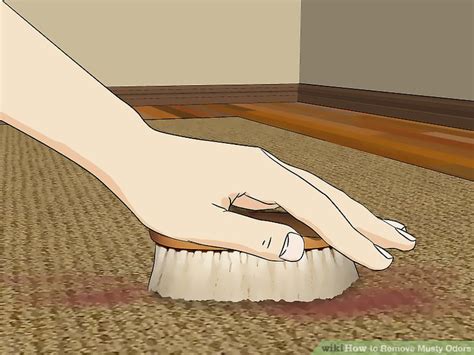 5 Ways to Remove Musty Odors - wikiHow