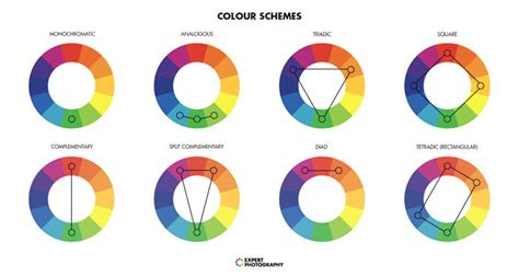 Complementary Colors for Photography (Color Theory)