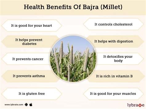 Bajra Nutrition | Blog Dandk