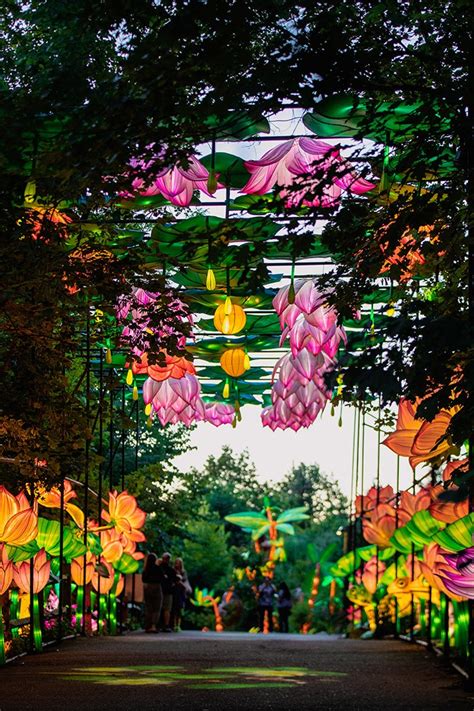 Asian Lantern Festival 2024 Pittsburgh Zoo - Brynn Corabel