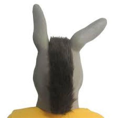 Shrek Donkey Mask | Costume Mascot World