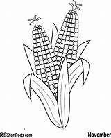 Corn On The Cob Colouring Pages  Pear Fruit Coloring sketch template