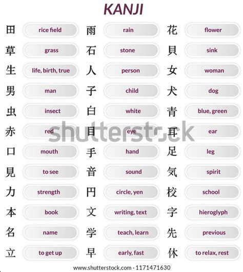 Kanji Symbols Learning Japanese Language Translation: เวกเตอร์สต็อก ...