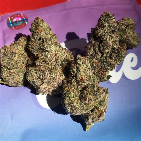 Strain Review: Ice Cream Cake by Fiore Genetics - The Highest Critic