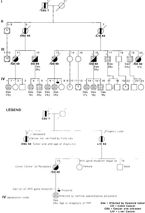 Extended genealogic tree of the family and explanation of the main ...