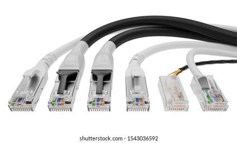 Different Lan Cable Types Categories 3d Stock Illustration 1543036592 | Shutterstock