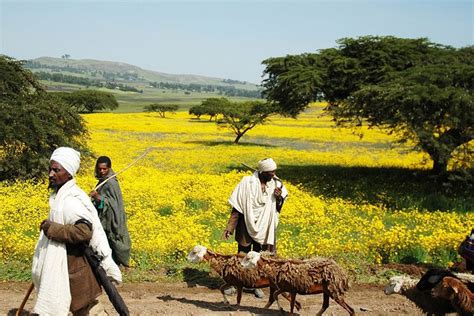 Festivals In Ethiopia - Ethiopia Tour Companies | OVERLAND Ethiopia Tours