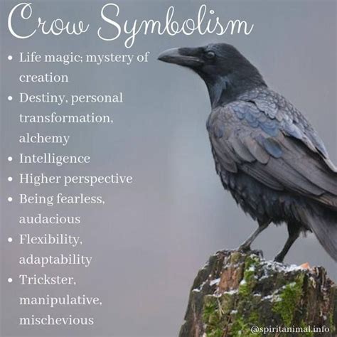 Pin by Deb Crow on Crows & Ravens (x) | Crow spirit animal, Spirit animal meaning, Animal totem ...