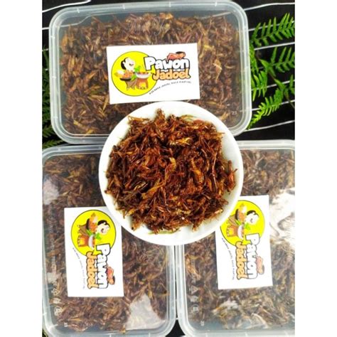 Jual Belalang goreng/walang goreng | Shopee Indonesia