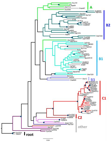 Palindrome Sequence / Recombinant DNA and Biotechnology - DNA and ...