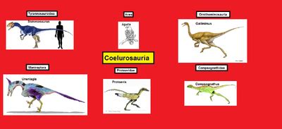 Coelurosauria | Wiki Prehistórico | Fandom powered by Wikia