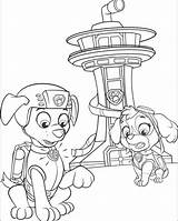 Zuma And Skye Paw Patrol coloring Page  Download Print Or Color sketch template