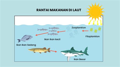 Mencermati Sistem Rantai Makanan di Sawah, Hutan dan Laut - Varia Katadata.co.id