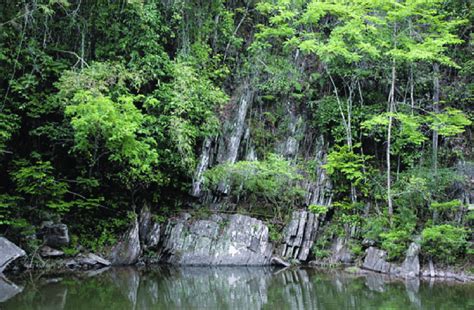 Habitat of "Goniurosaurus lichenfelderi group." Granite valley in Yen ...