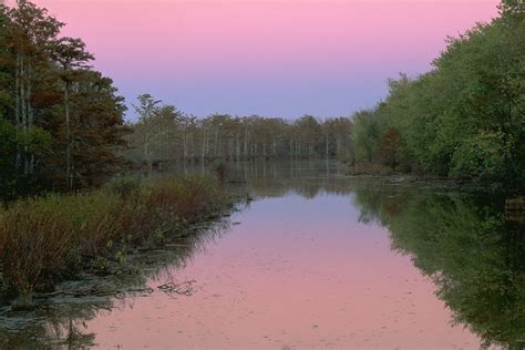 Cache River Wetlands | The Nature Conservancy in Illinois