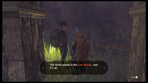 Zelda Tears of the Kingdom Lost Woods guide: How to get through the ...