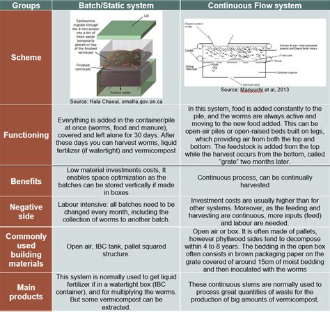 What is Vermicompost? Types and how to monitor - Wikifarmer