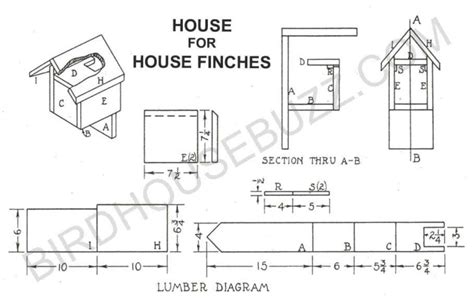 Finch Bird House: 11 Best Plans You Can DIY - Bird Nature