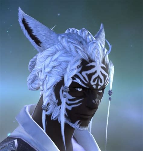 27+ Ff14 Miqo'te Hairstyles - Hairstyle Catalog