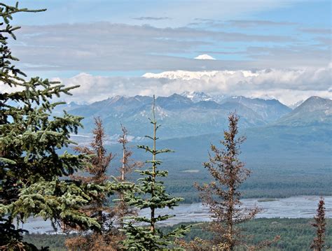 Hiking Alaska: Denali State Park – Wandering La Vignes