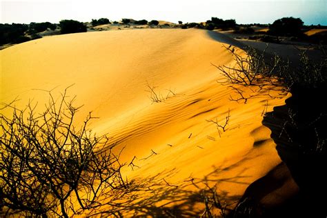 Kalahari Desert | Namibia and Botswana – Afroculture.net