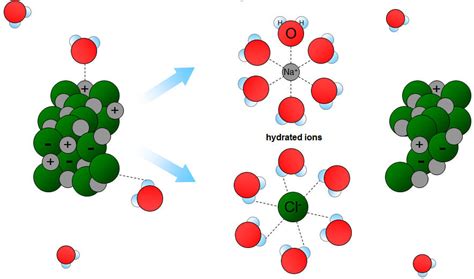 Like Dissolves Like and Molecule Ion Attractions