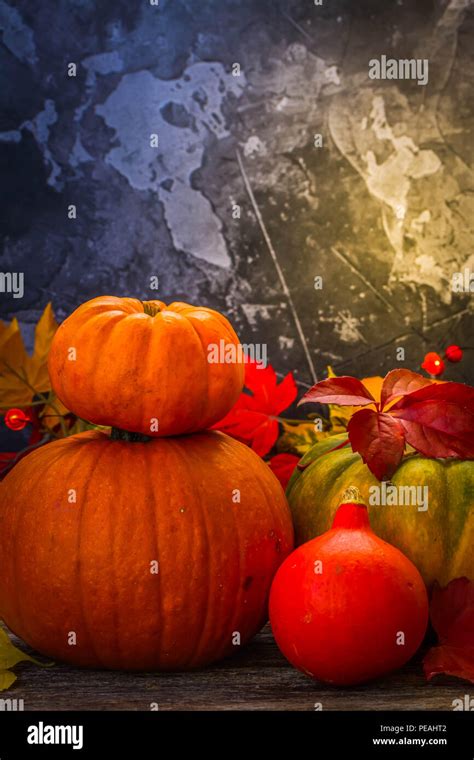 Fall harvest of pumpkins Stock Photo - Alamy