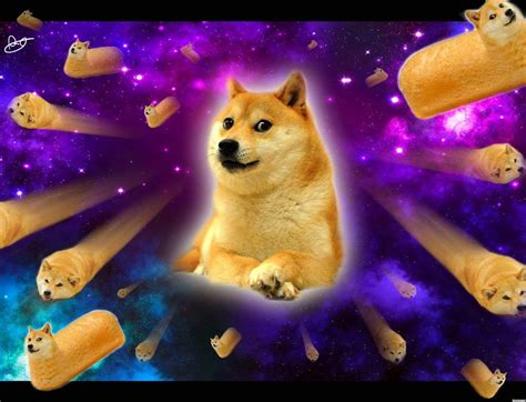 Best wallpaper ever for pc | Best dog gifts, Doge photo, Dog poster