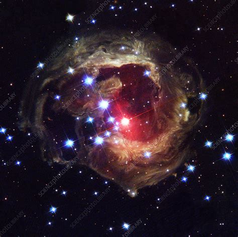 Light echoes around V838 Monocerotis star - Stock Image - R730/0083 - Science Photo Library