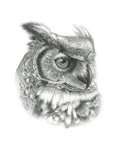 FRAMED Original Great Horned Owl Drawing by TheBriarArtShop | Owl ...