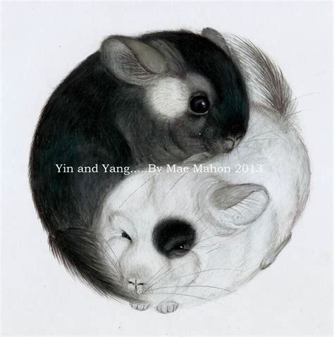 chinchilla art - Google Search | Детеныши животных, Забавные зверюшки, Милые детеныши животных