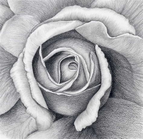 Charcoal Art Flower