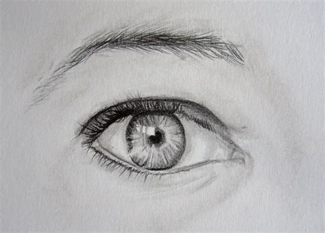 [Tutoriel] Dessiner un oeil réaliste | Yeux dessin, Coloriage yeux ...