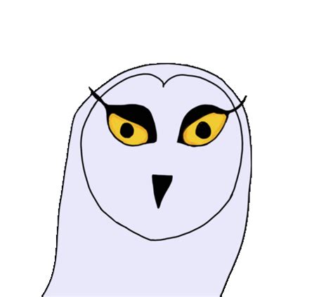 Snowy Owl Wink Sticker for iOS & Android | GIPHY