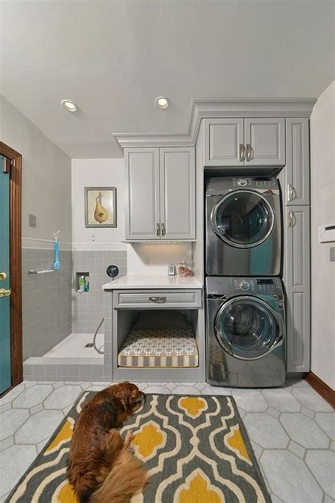 Dog washing station ideas – a practical necessity for the home