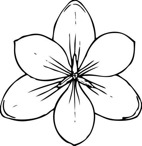 Flower Line Art - Cliparts.co