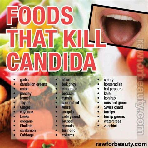 Kill Candida | Candida cleanse, Candida diet recipes, Candida diet