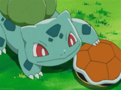 Squirtle Comfort GIF - Squirtle Comfort Bulbasaur - Discover & Share GIFs