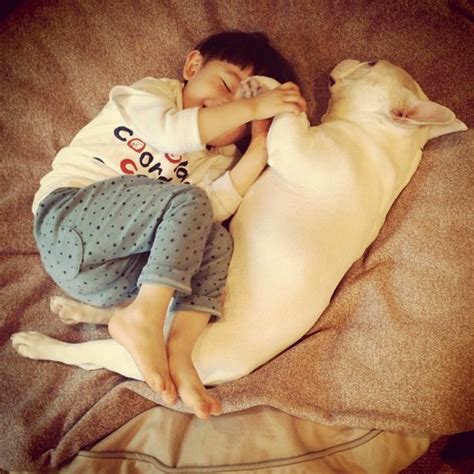 Dogs And Babies Sleeping Are What The World Needs Now | HuffPost Life