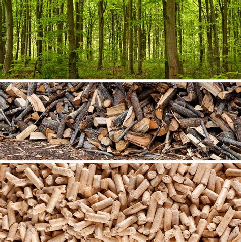 Wood pellets: Renewable, but not carbon neutral