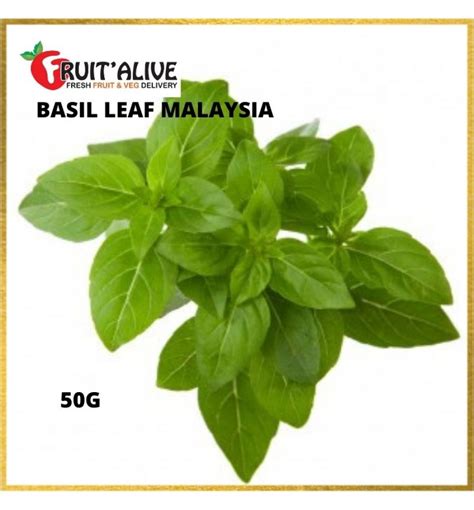 ﻿BASIL LEAF MALAYSIA (50G)